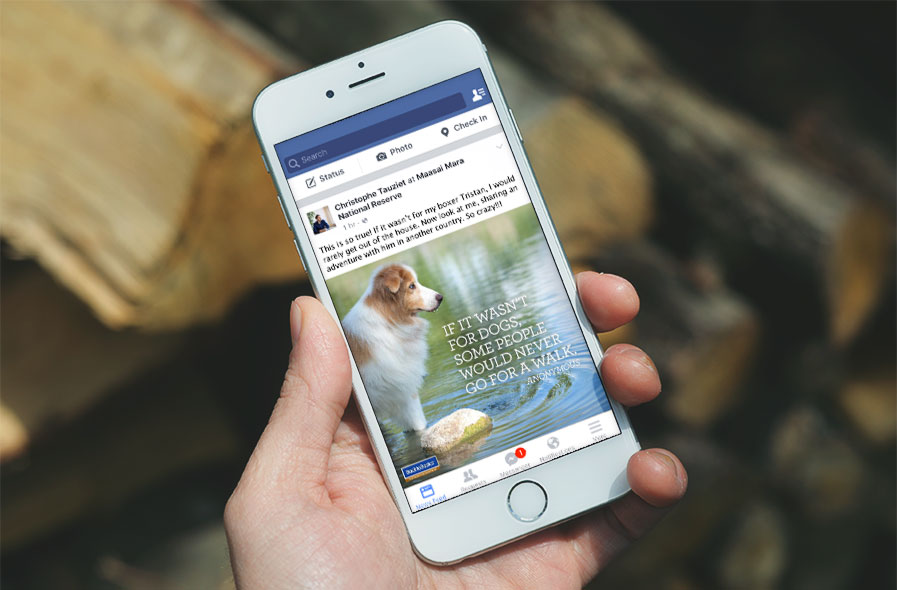 b2b fb post 2